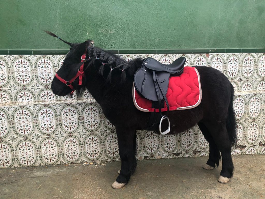 Pony Villarejo de Salvanés