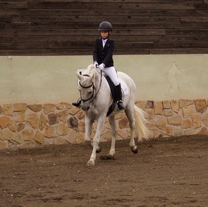 Clases de alta escuela de caballos en Madrid