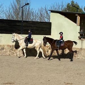 Curso de equitación en Villarejo (Madrid)